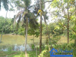 Land for Sale at Thalawathugoda